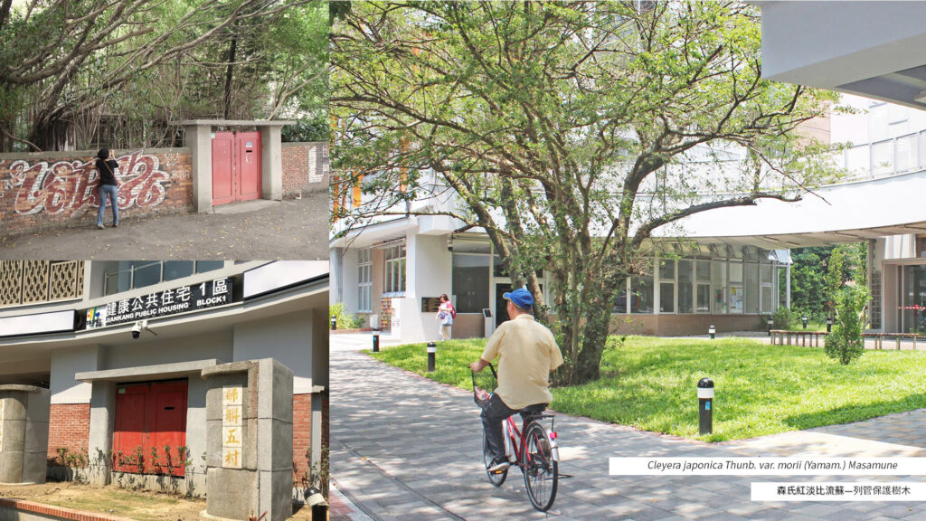 Songshan Jiankang Public Housing — 11